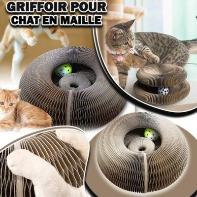 GRIFFOIR CHAT CARTON | CATBAL™ - Bonheur de minet