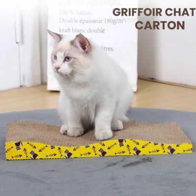 GRIFFOIR CHAT CARTON | Waves ™ - Bonheur de minet