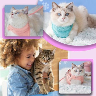 Harnais Chat Anti-fugue | Cuty ™ - Bonheur de minet