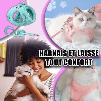 Harnais Chat Anti-fugue | Cuty ™ - Bonheur de minet