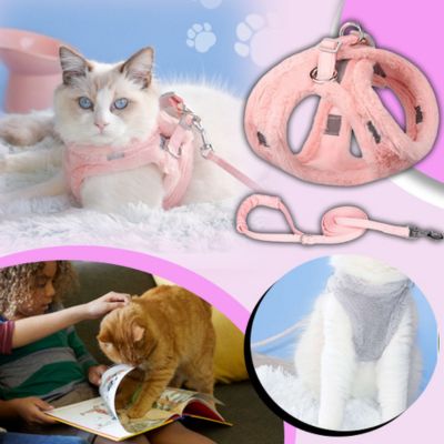 Harnais Chat Anti-fugue | Cuty ™ - Bonheur de minet