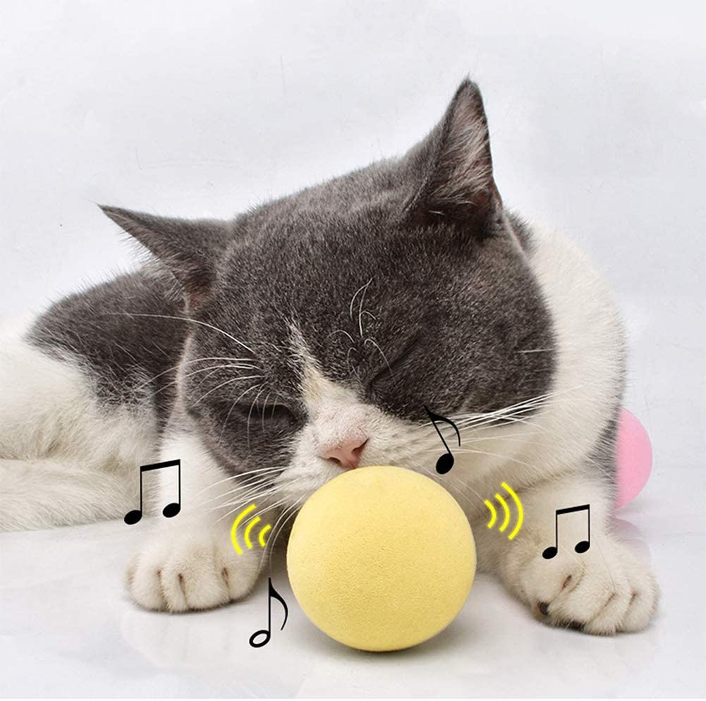 SmartBall™ - Balle intelligente d'apprentissage pour chat - Bonheur de minet